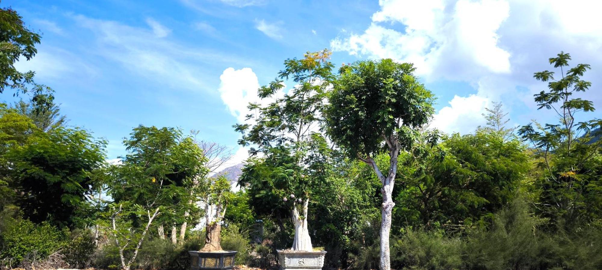 Cobi'S Home Cam Lam Ngoại thất bức ảnh