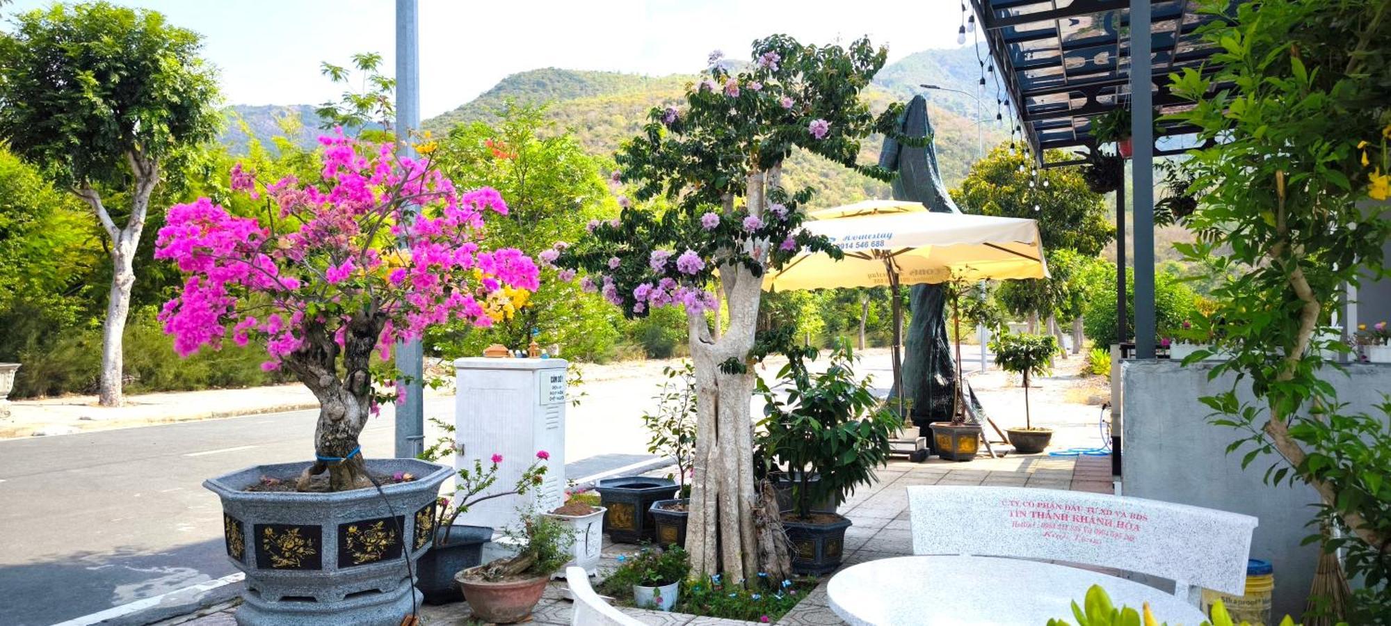 Cobi'S Home Cam Lam Ngoại thất bức ảnh